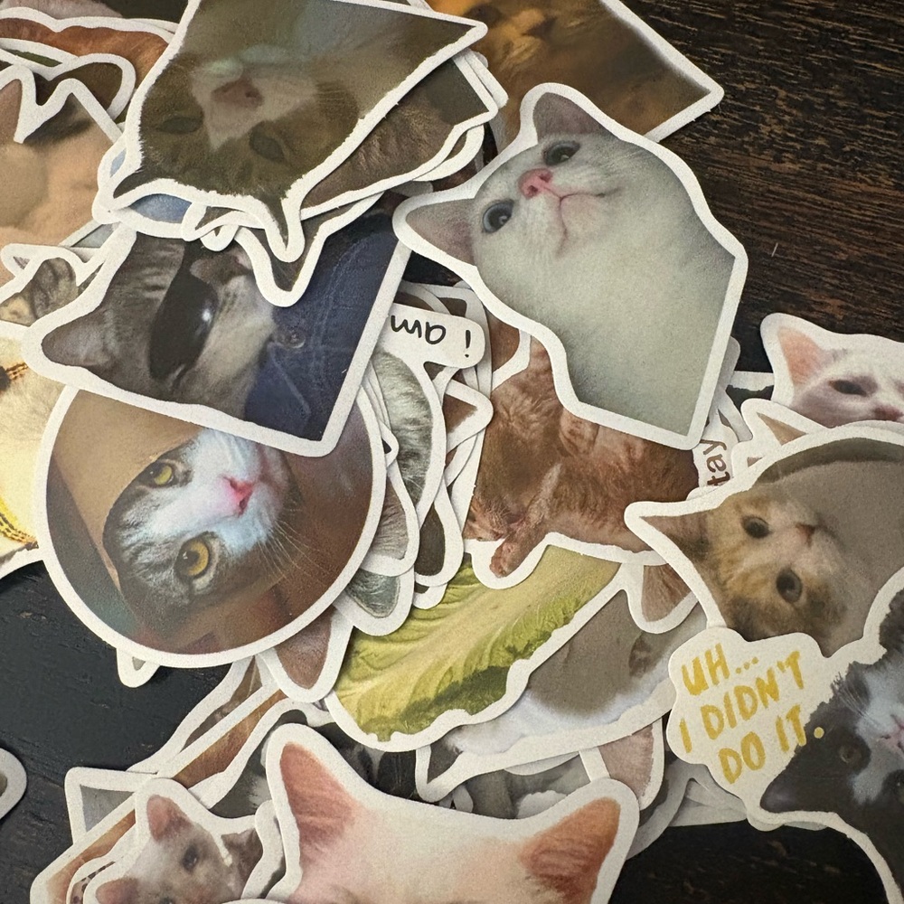 Cat Sticker Pack - Multicolor - Picture 4 of 9